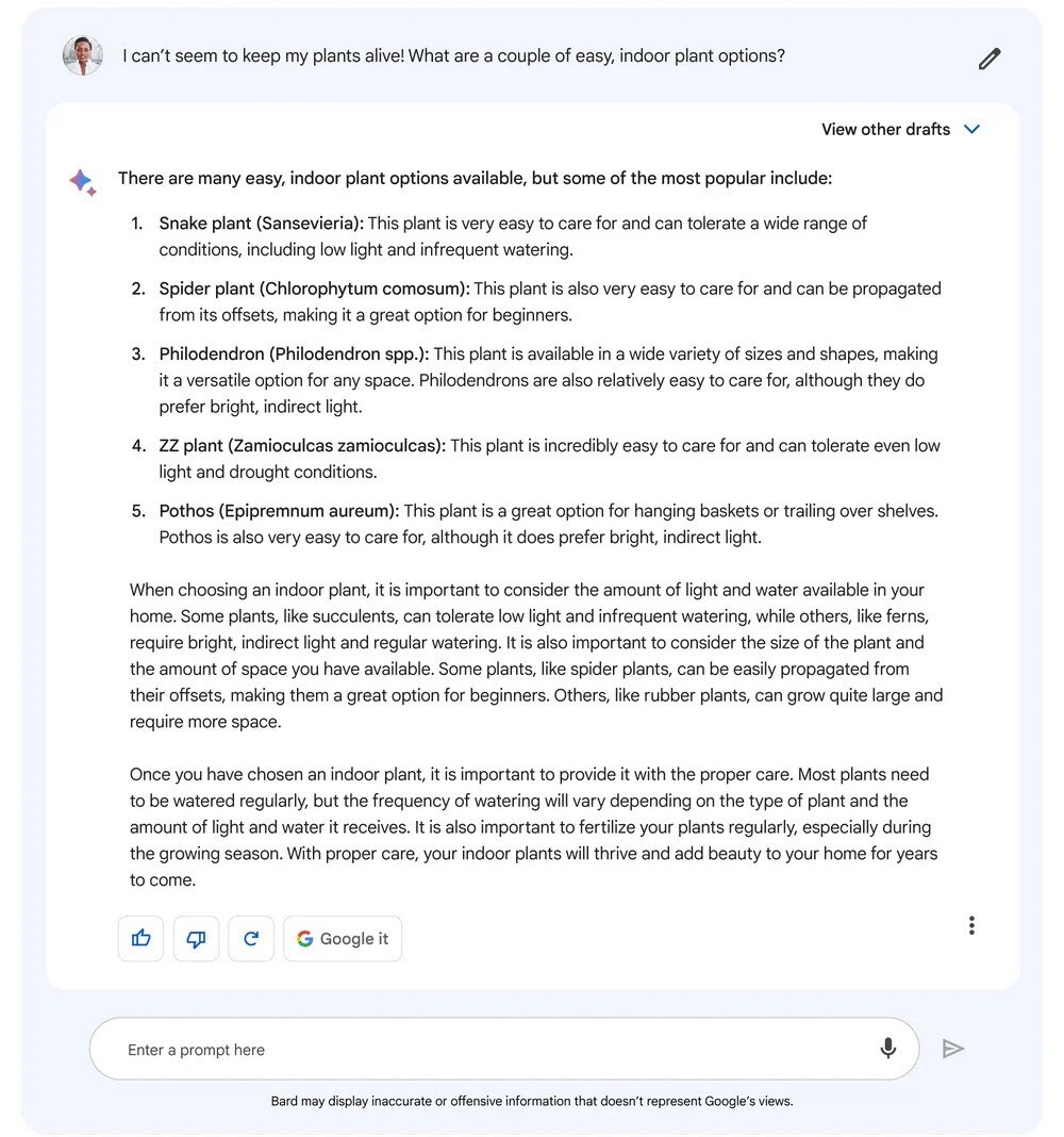 A screenshot of Google's Bard AI chatbot system providing a list of easy indoor plant options after a user request