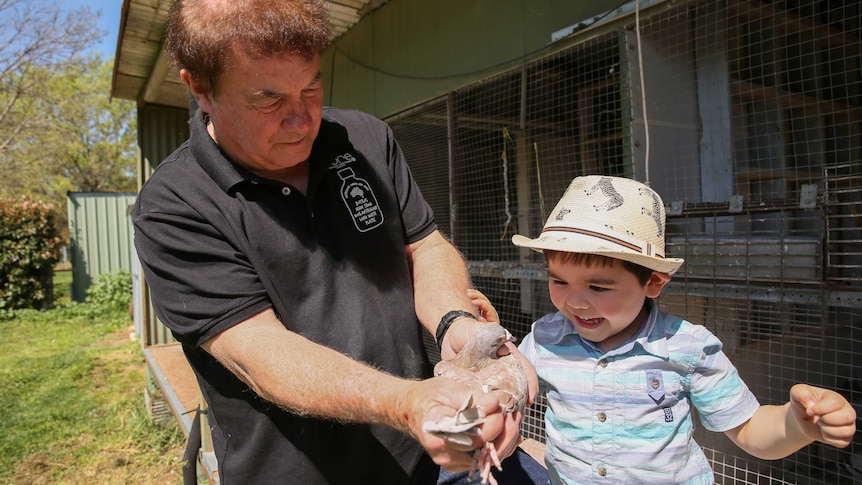 Mid-West Pigeon Racing Federation President, David Byrnes, and his four-year-old son Connor hold one of their best pigeons.