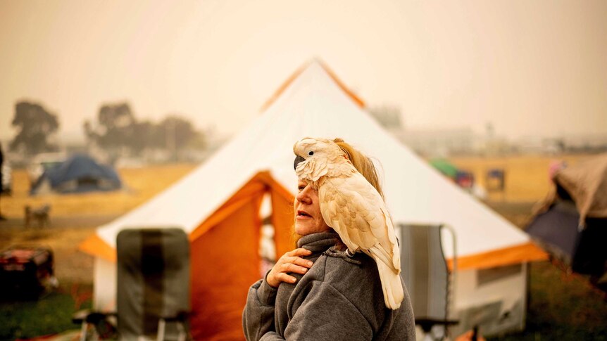 a woman stands outside a tent with a cockatoo on her shoulder