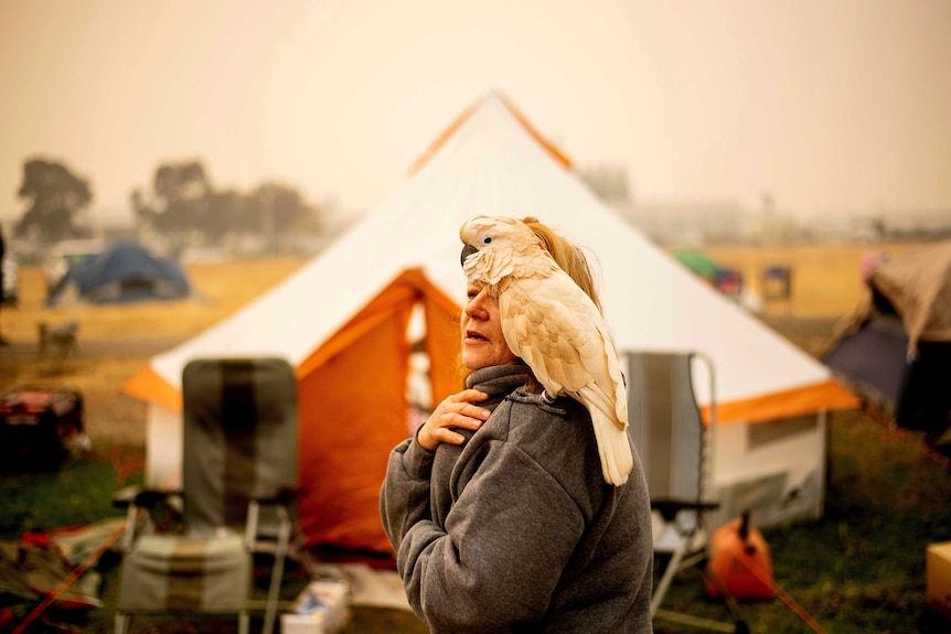 a woman stands outside a tent with a cockatoo on her shoulder