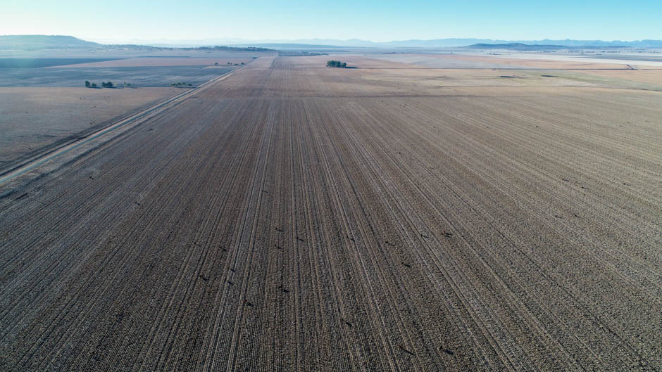 Drought stricken land on the Liverpool Plains