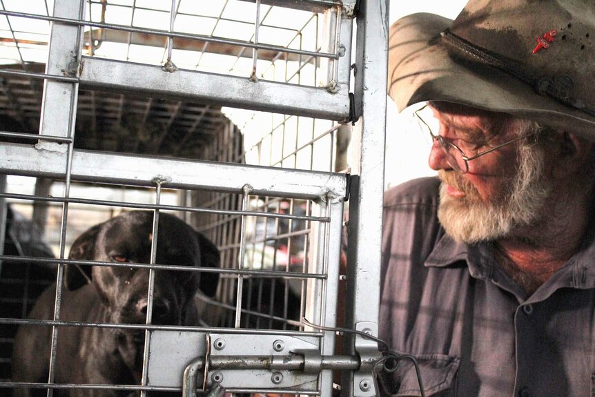A farmer looking at a black dog in a metal cage