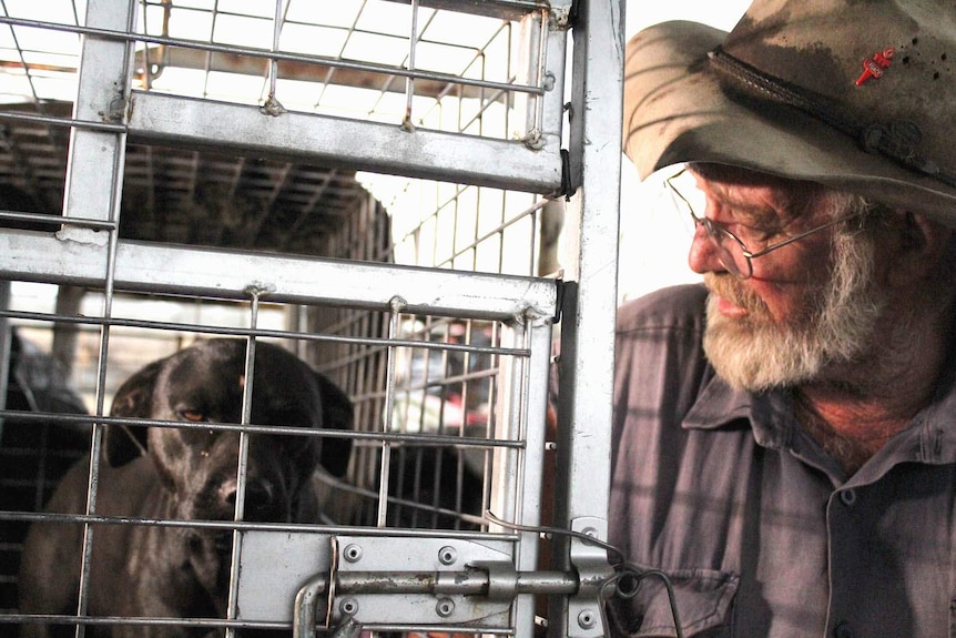 A farmer looking at a black dog in a metal cage