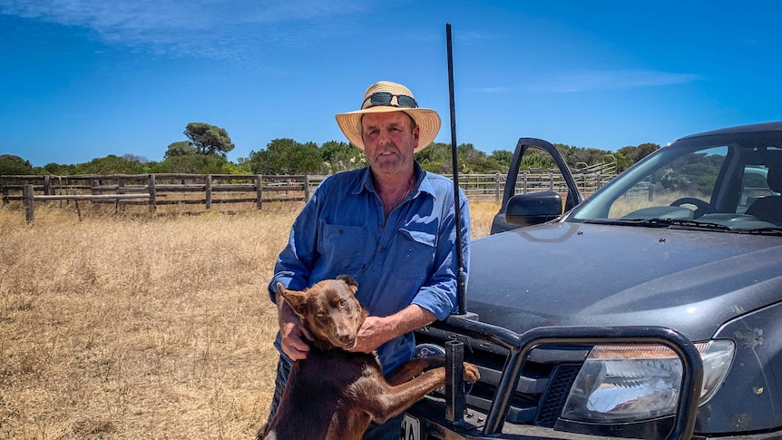 John Fenton wears a straw hat and blue shirt, leaning against a 4WD in a paddock, with his working dog.