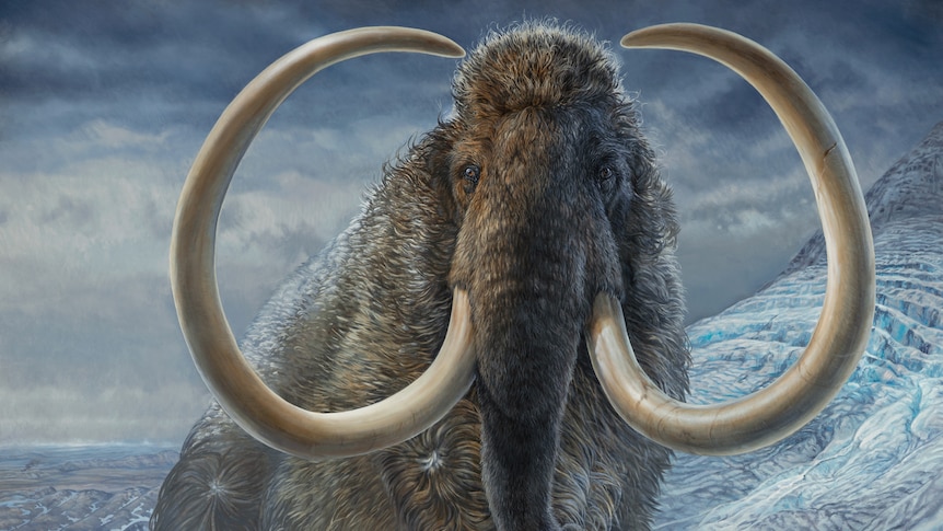 Un dipinto di un mammut lanoso