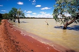 The Lake Eyre Basin is a critical area that must not be put at risk, says Scott Gorringe.