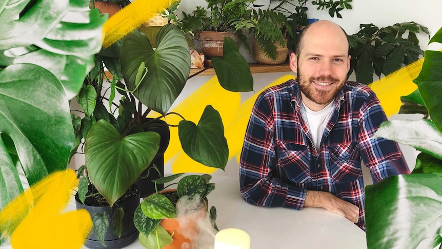 A man sits at a round dining table surrounded by his indoor plants, in a story about DIY greenhouses to help plants.