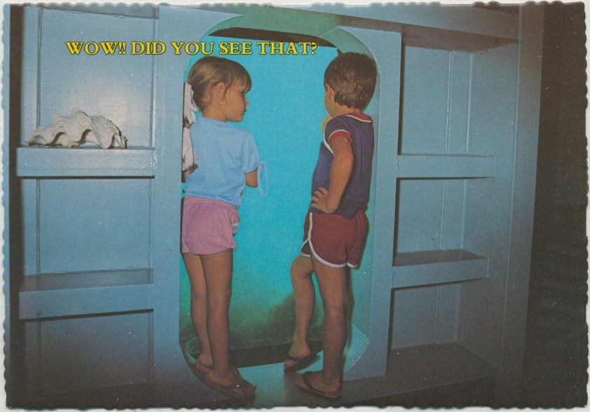 Duas crianças pequenas em frente à janela/vigia, água azul e coral, com prateleiras de cada lado. 