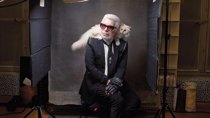 Karl Lagerfeld's Siamese Cat Has Two Maids and a Driver