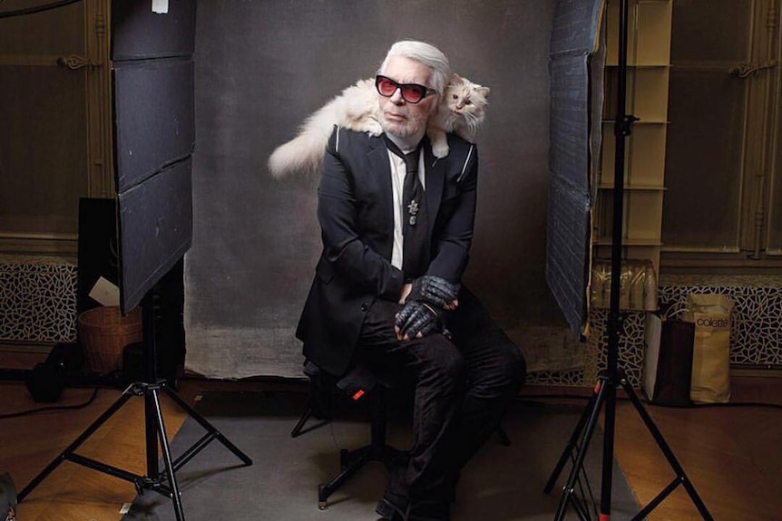 A man wearing a black suit sits on a stool in a photo studio with a white cat on his shoulders.