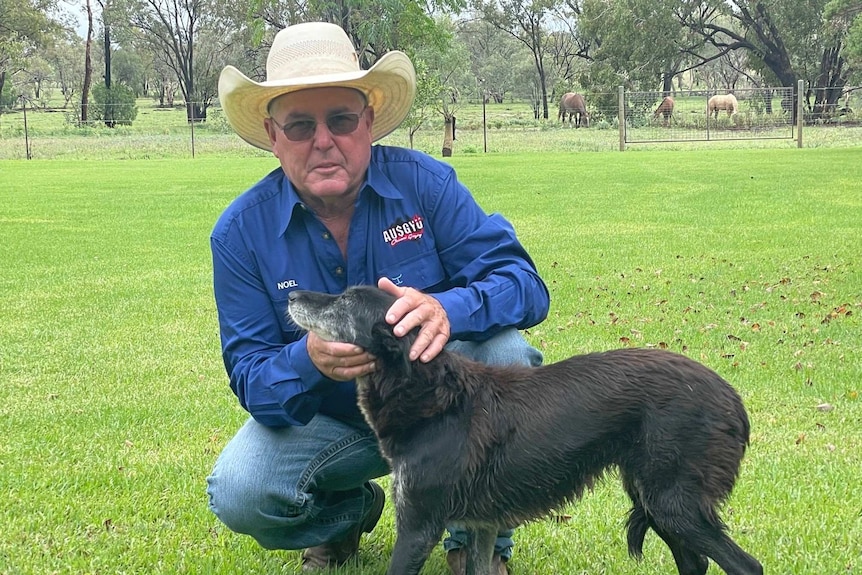 A man in a blue shirt kneels down with his dog