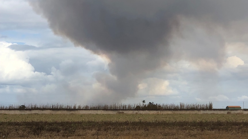 A plume of smoke from a bushfire, with a dry paddock in the foreground.