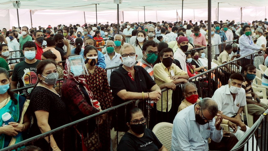 Hundreds of people wearing face masks, standing in packed lines separated by short steel fences.