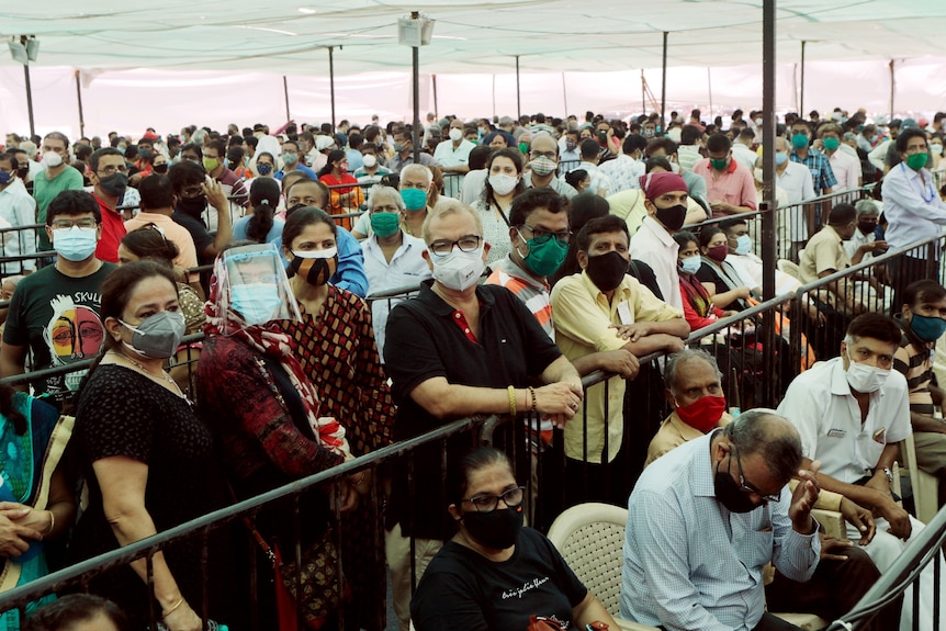 Hundreds of people wearing face masks, standing in packed lines separated by short steel fences.