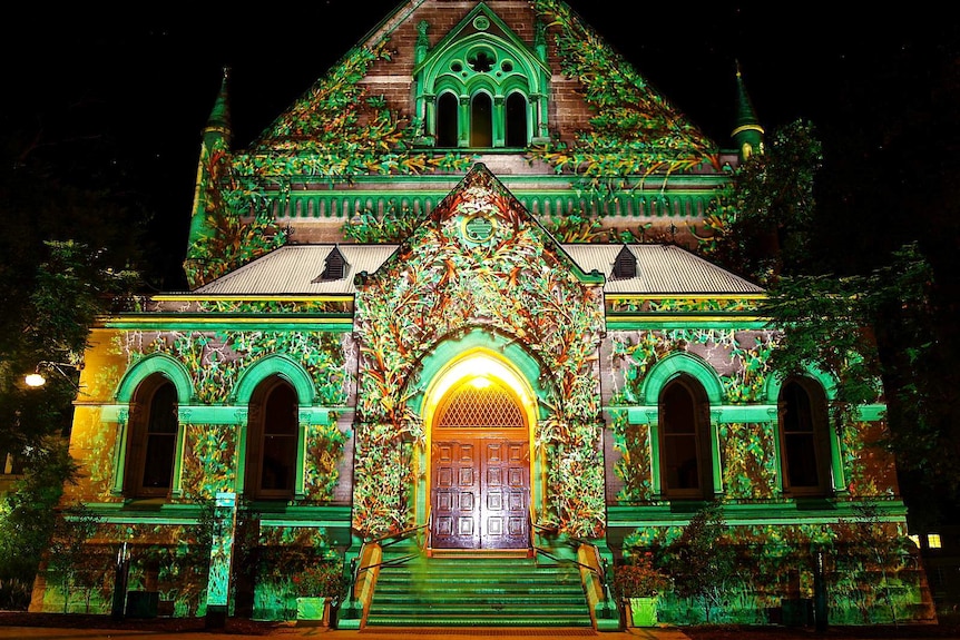 A building lit up with decorative projections illustrating a forest