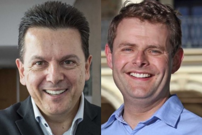 Composite image of Nick Xenophon and Stephen Mullighan.