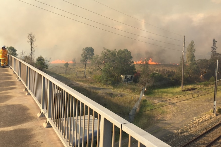 Several firefighters standing on a bridge looking at flames.