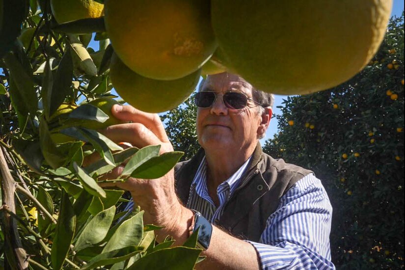 Dick Estens, Moree citrus grower