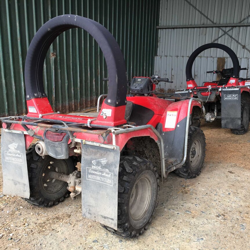 Two quad bikes fitted with circular rubber roll over protection devices parked in a shed