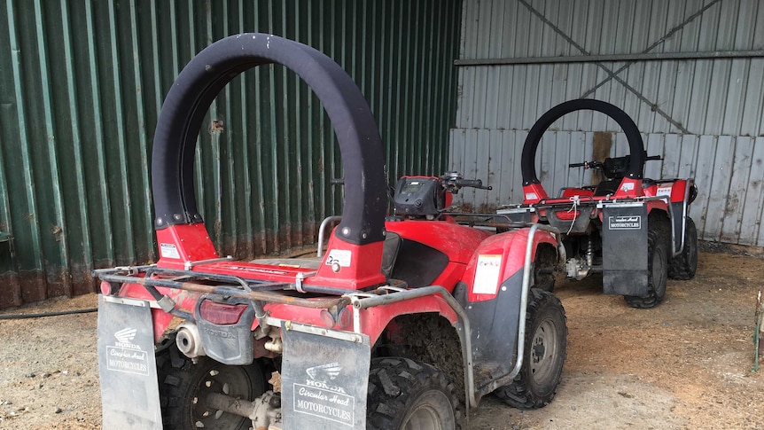 Two quad bikes fitted with circular rubber roll over protection devices parked in a shed