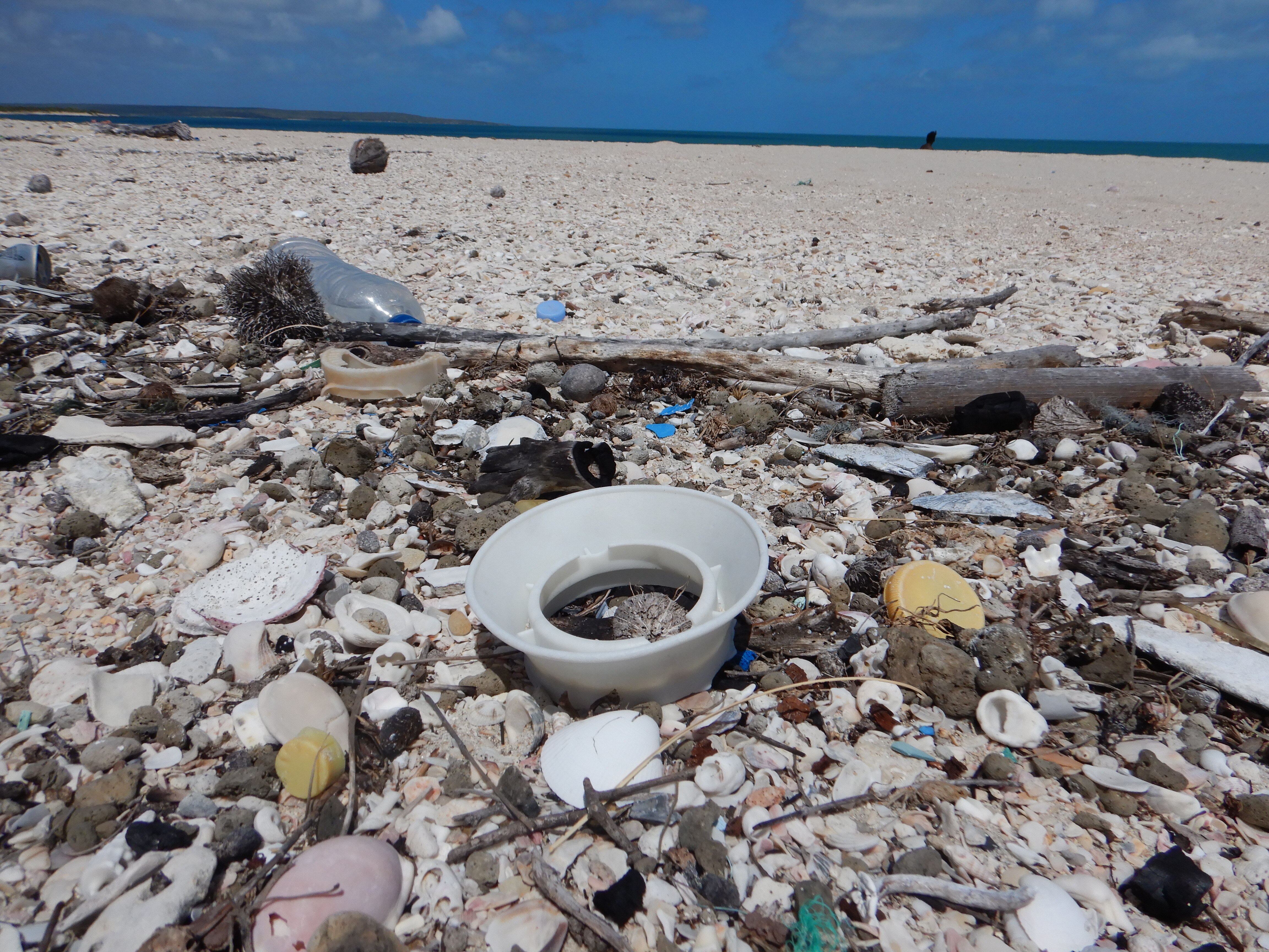 ABC News Adelaide - ABC News