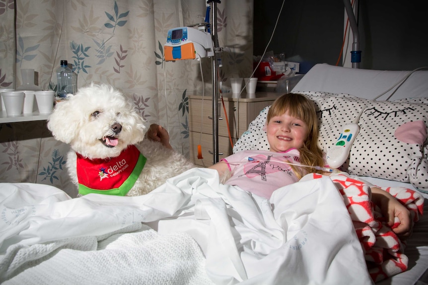 Hospital patient Poppy Hills lies in bed with Zach the dog.
