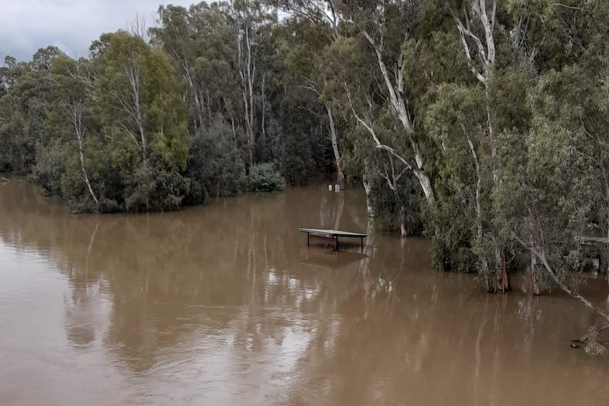 A park bench sits underwater at the Murray River in Echuca - Moama