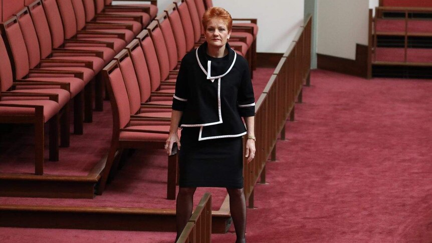 Pauline Hanson stands in the Senate with her feet firmly planted and arms by side.