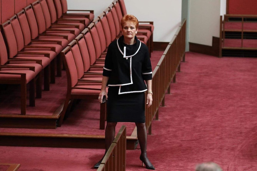 Pauline Hanson stands in the Senate with her feet firmly planted and arms by side.