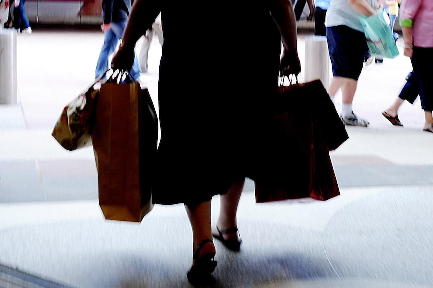 A woman carries shopping bags.