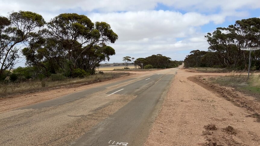 Regional drivers, motoring lobby calls for urgent fix of SA's roads as ...