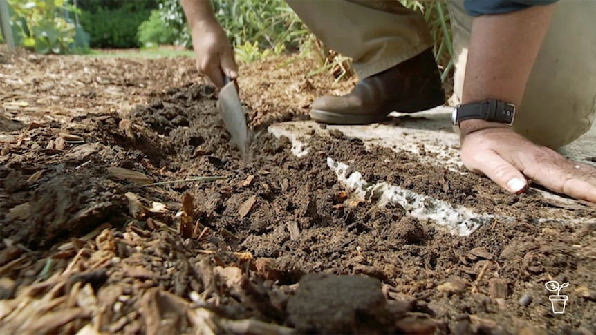 Man using trowel to clear soil from concrete edging