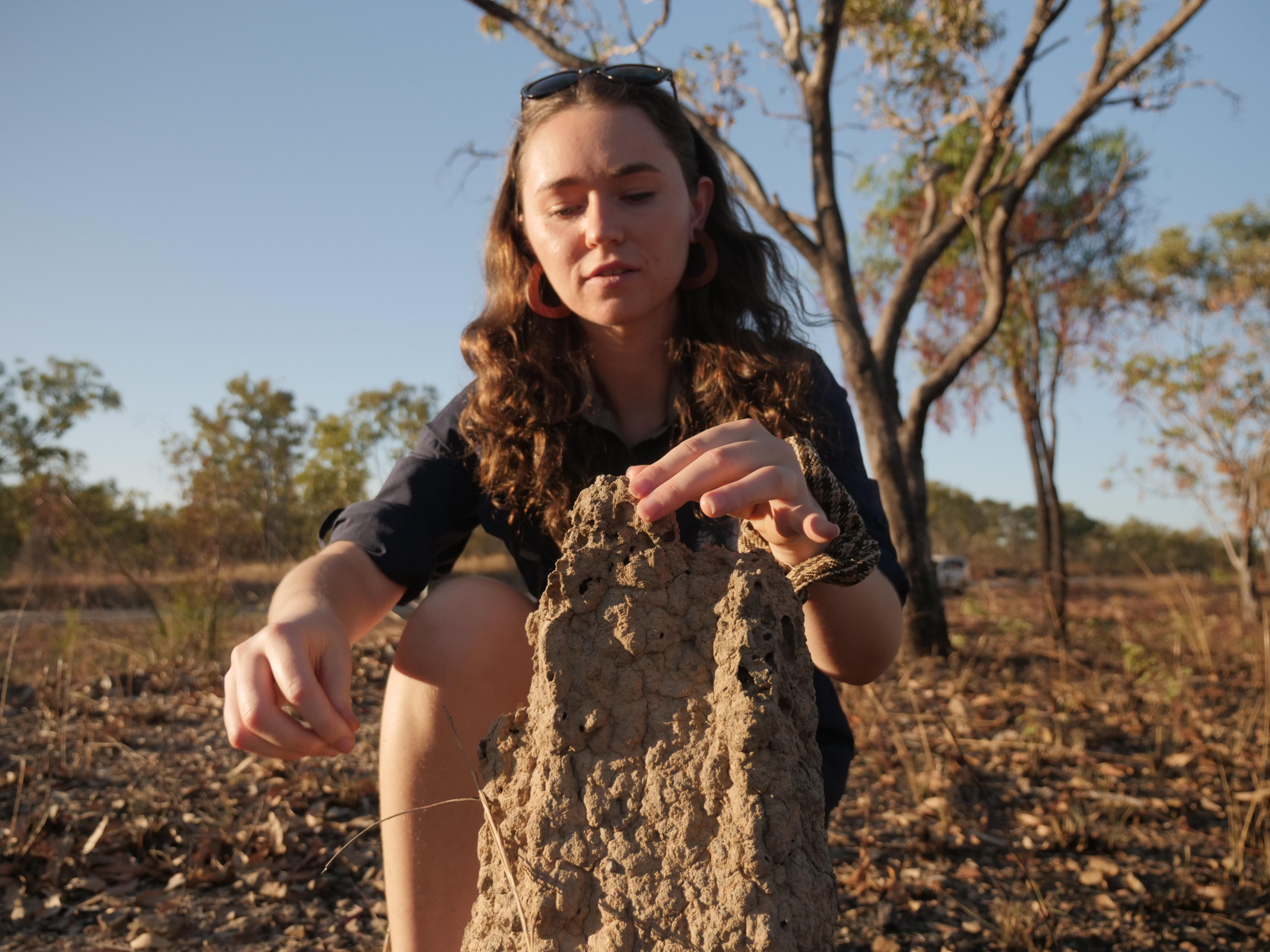 A young woman inspects a dried termite mount in the outback.
