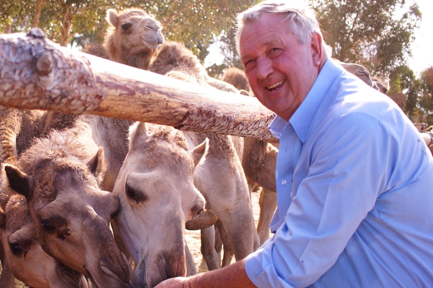 Kim Chance and camels
