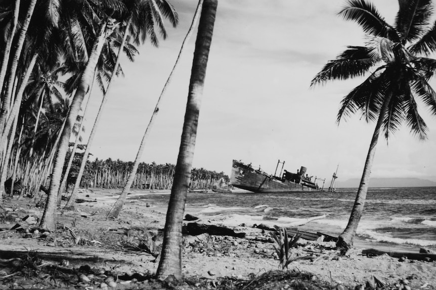 A black and white photo of a shipwreck half submerged off a palm tree covered beach.