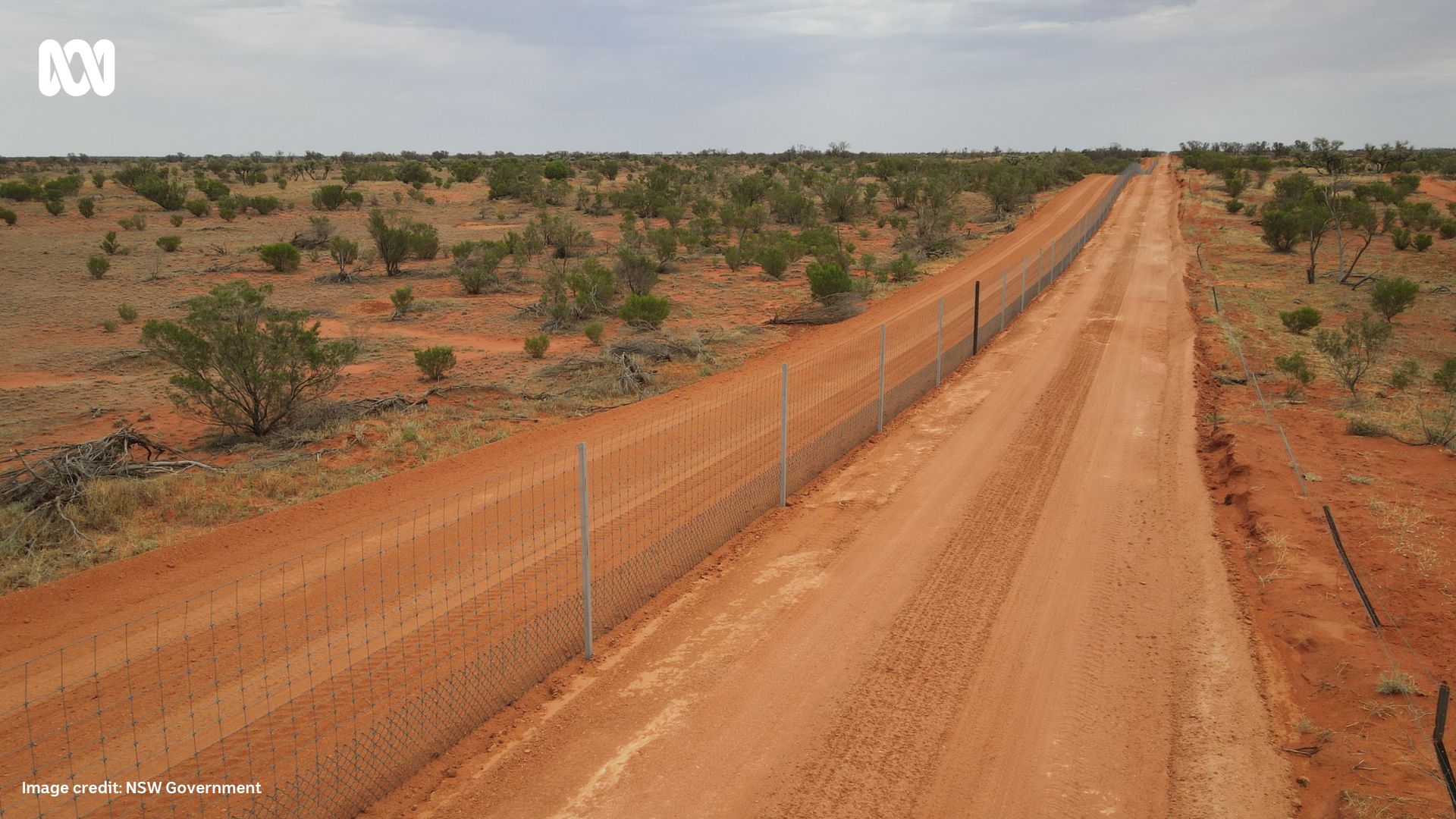 A wire fence on a dusty outback track.