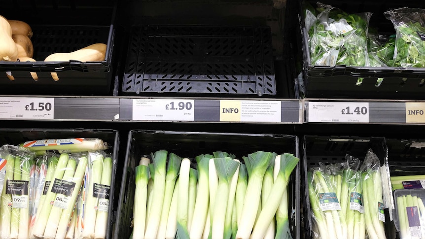UK's vegetable crisis sees supermarkets with empty shelves as they struggle to meet demand