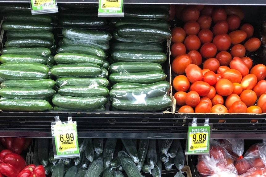 Vegetables and tomatoes sit on supermarket shelves at unusually high prices.
