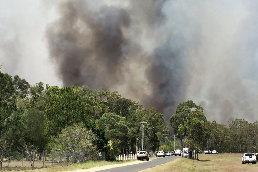 Bushfire rages near Dundathu in south-east Queensland