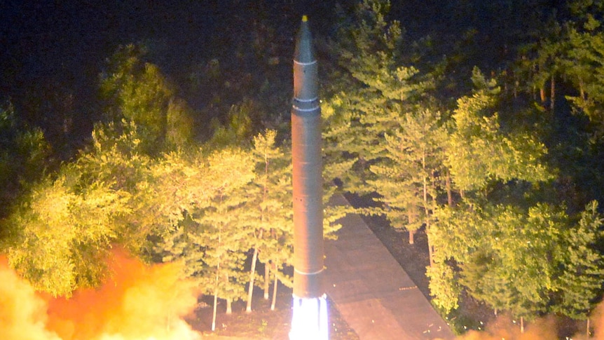 A missile launches off the ground.