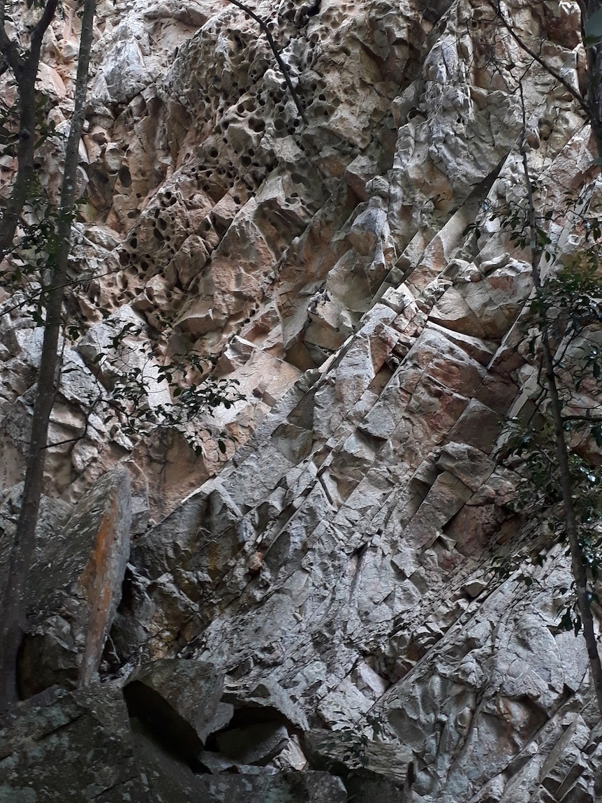 A stunning rock face of rhyolite at Nimbin, the rock is very light in colour and rich in silica