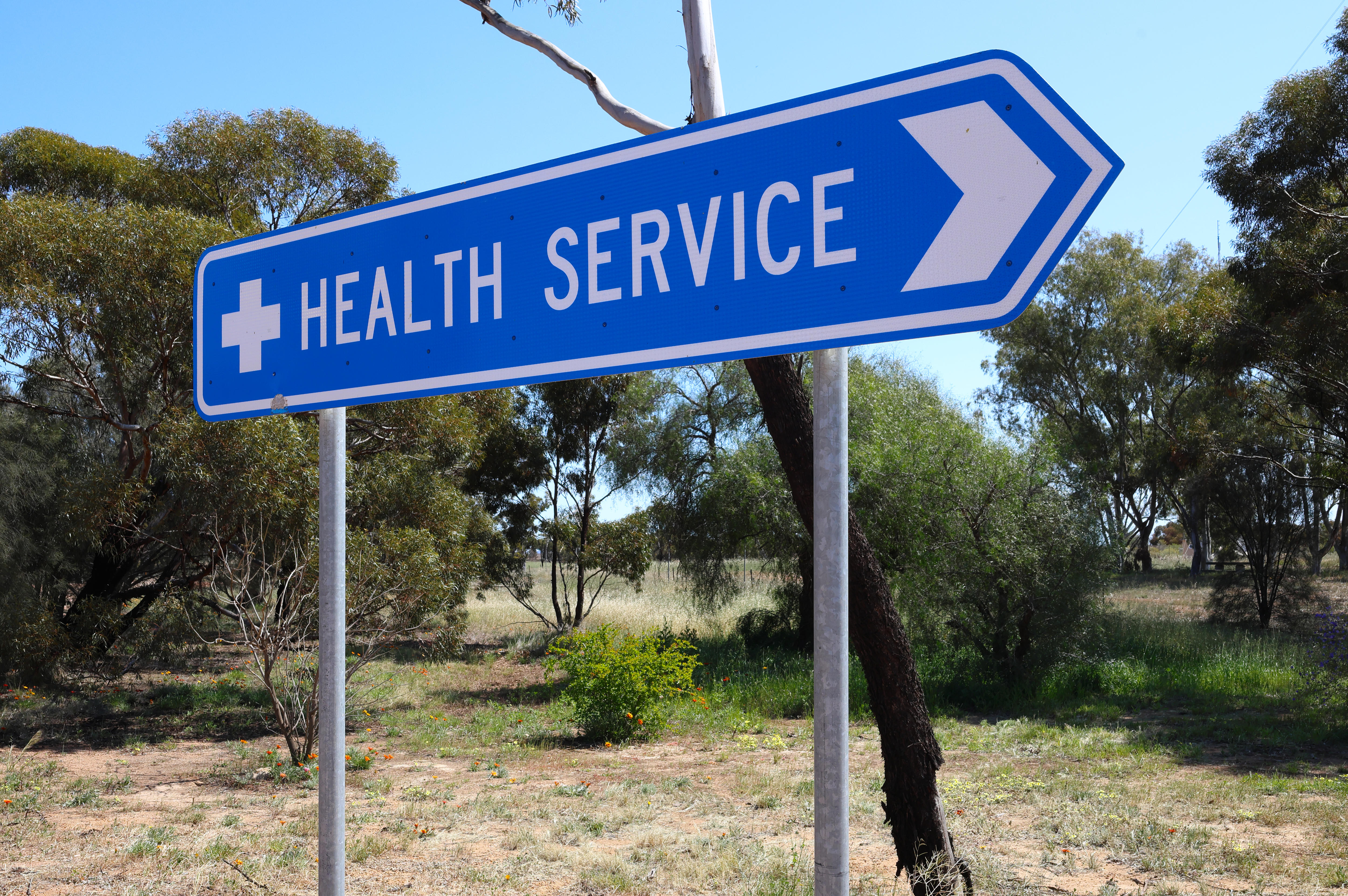 Rural GPs are hard to find, so this town is offering a reward - ABC listen