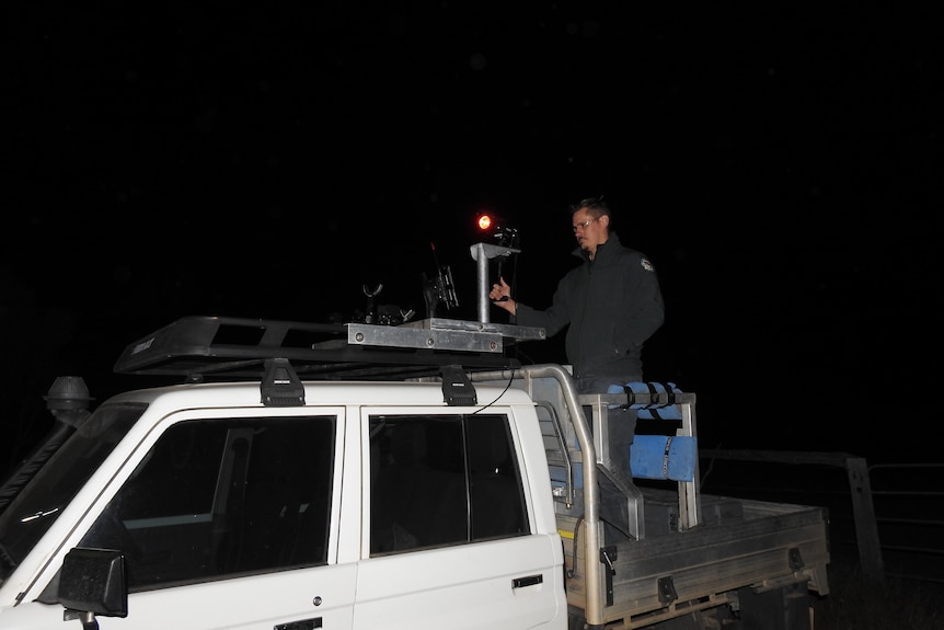 A park ranger using a thermal camera to spot wallabies