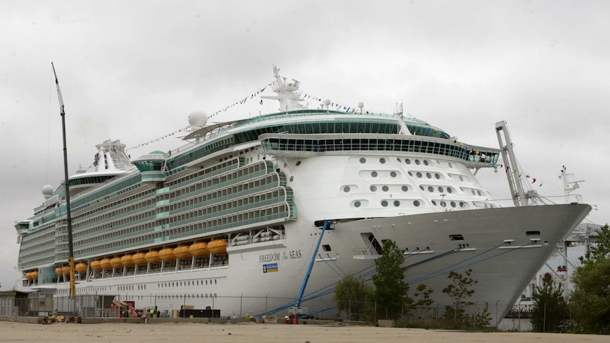 The freedom of the seas cruise ship towers above the dock it is anchored to. It is white with aqua accented windows.