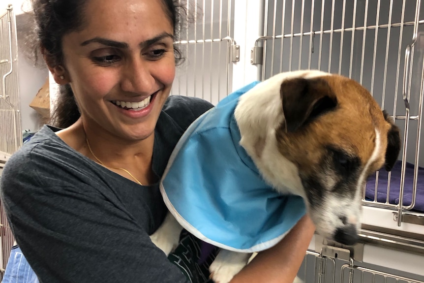 An image of Anjali holding a dog in a vet clinic