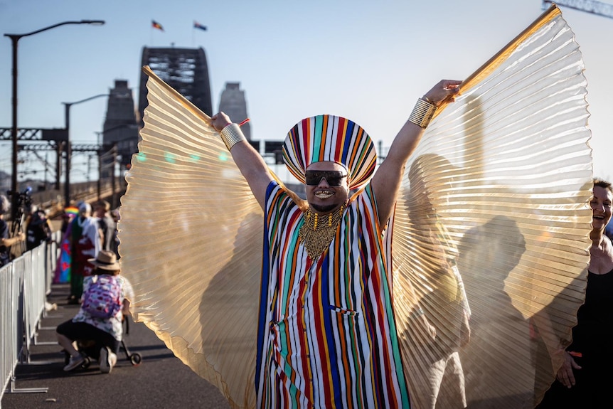 A person wearing a costume featuring vertical stripes and semi-transparent wings poses on the Harbour Bridge