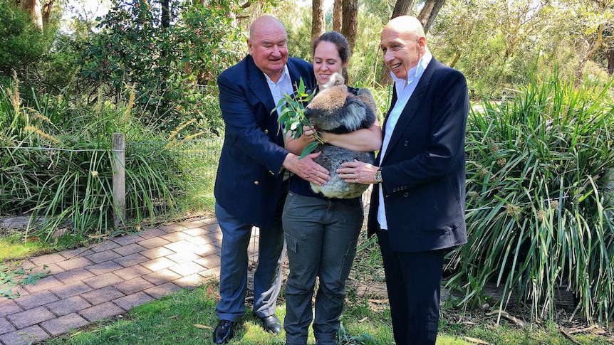 Lindsay Fox and Allan Zeman pat a koala