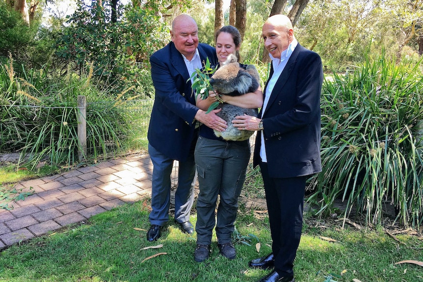 Lindsay Fox and Allan Zeman pat a koala