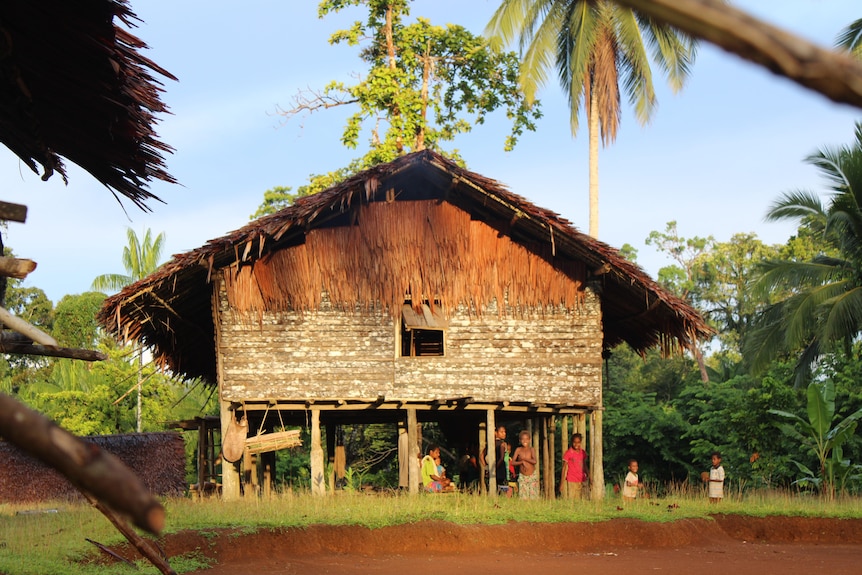 A wooden building on stilts. Villages stand underneath it. There are palm trees behind it.