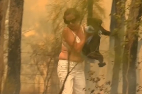 NSW woman Toni Doherty rescued the injured koala in the midst of a bushfire.